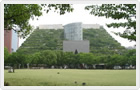 [photo]ACROS Fukuoka Step Garden